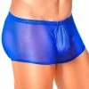 Male Power Men's Royal Mesh Pouch Shorts -Lingerie Diva shop 1516037 ba14c0d8 5582 4a8c a4cc e41fb9f1e9ae 600x