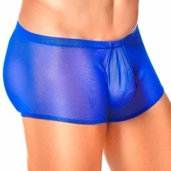 Male Power Men's Royal Mesh Pouch Shorts