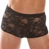 Velvet Kitten Men's Stretch Black Lace Mini Briefs -Lingerie Diva shop 3500VK BLACK 1 300x