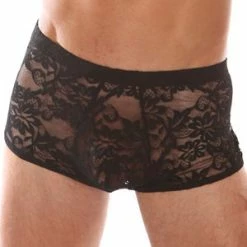 Velvet Kitten Men's Stretch Black Lace Mini Briefs